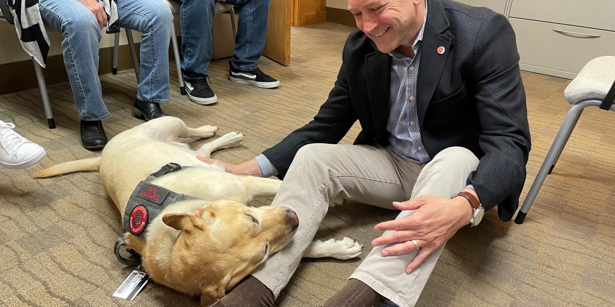 therapy dogs with one person