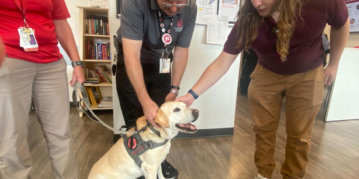 two people petting golden labrador retriever