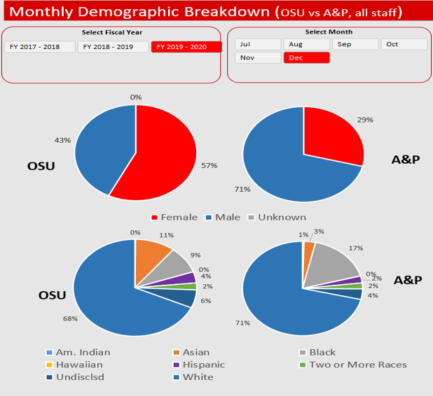 Diversity Dashboard breakdown by month